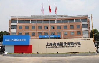 奔赴未來 | 上海海亮開展賦能強基培訓活動
